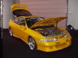 sema Show Images Page 1