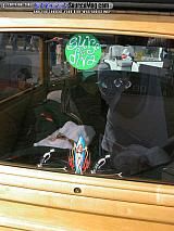 gg Show Images Page 7