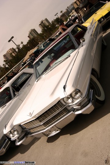 RatCityRuckusShow Show Images Page 2