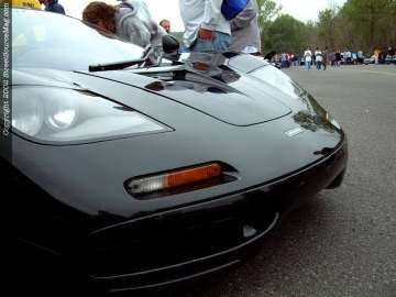 nopi Show Images Page 6