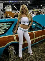 sema Show Images Page 13