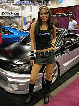 sema Show Images Page 22