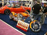 sema Show Images Page 4