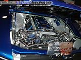 sema Show Images Page 6