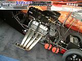 sema Show Images Page 6