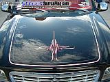 sema Show Images Page 9