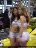 sema Show Images Page 15