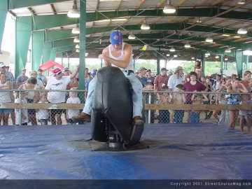 motorfest Show Images Page 3