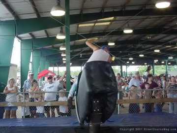 motorfest Show Images Page 3