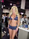 Sema Show Images Page 1