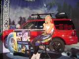 Sema Show Images Page 2