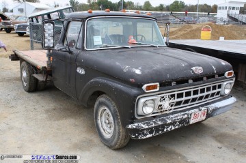 Pumpkin Show Images Page 2