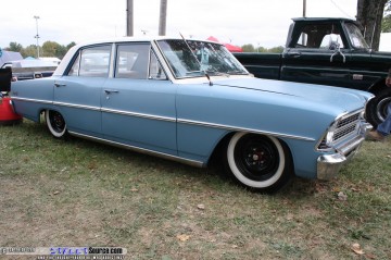 Pumpkin Show Images Page 2