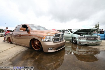 Siknic Show Images Page 2