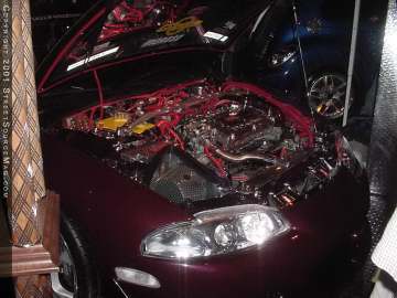 hotimportnights Show Images Page 2