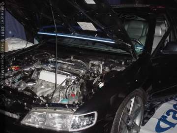 hotimportnights Show Images Page 3