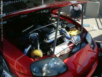 Showoff Show Images Page 1