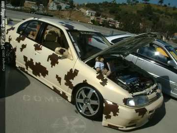 Showoff Show Images Page 3