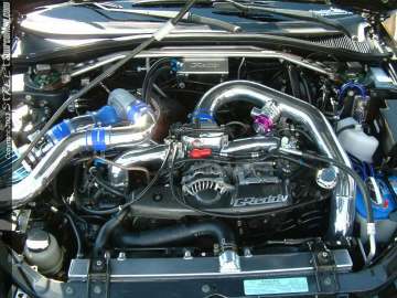 Showoff Show Images Page 5