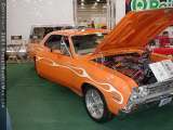 starbird Show Images Page 3