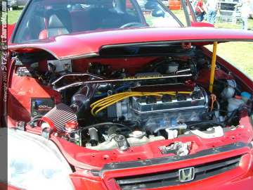 fff Show Images Page 1