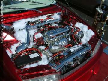 fff Show Images Page 3