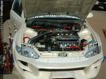 fff Show Images Page 4