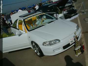 fff Show Images Page 9