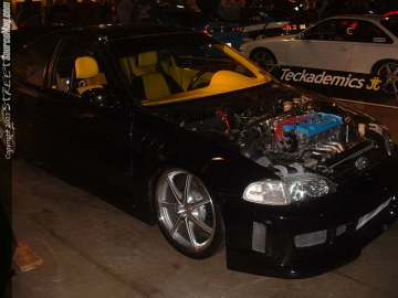 HINPhilly Show Images Page 3