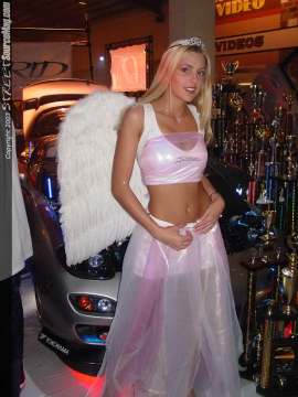 HINdelmar Show Images Page 3