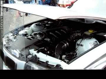 Limerock Show Images Page 2