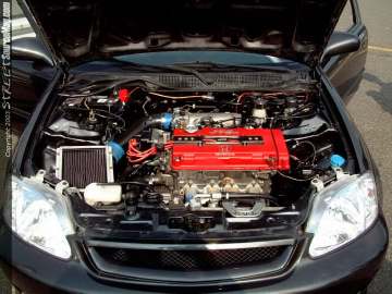 Limerock Show Images Page 4