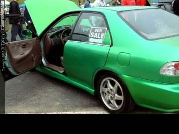 Limerock Show Images Page 4