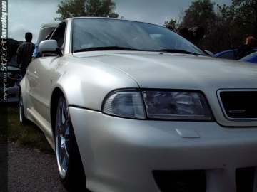 Limerock Show Images Page 5