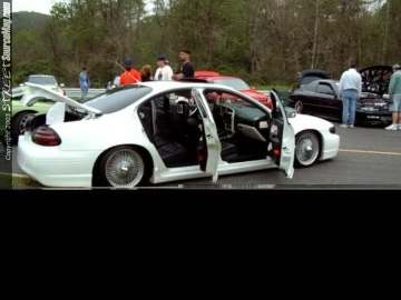 Limerock Show Images Page 5