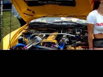 Limerock Show Images Page 6