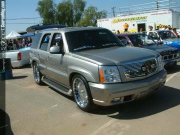 FFF Show Images Page 7