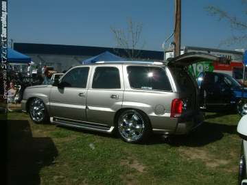 FFF Show Images Page 14