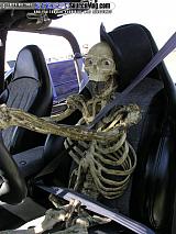 fff Show Images Page 5