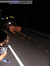 gatordrag Show Images Page 7