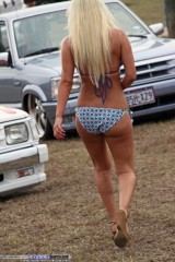 WStockShow Show Images Page 5