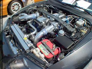 Jacksonville Show Images Page 1