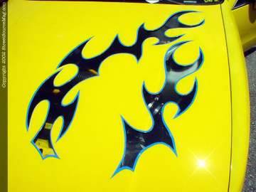 Jacksonville Show Images Page 1