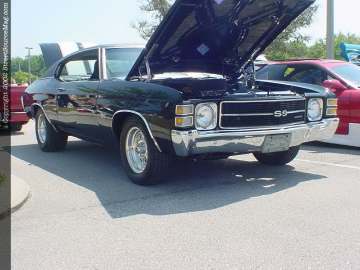 Jacksonville Show Images Page 1