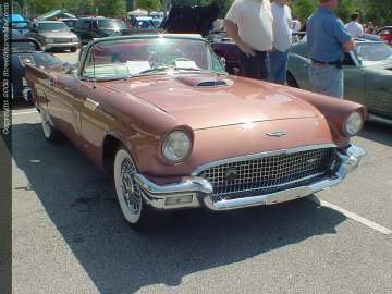 Jacksonville Show Images Page 4