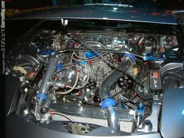 hinseattle Show Images Page 4