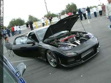 swift Show Images Page 2