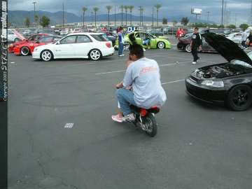 swift Show Images Page 4