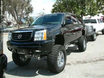 dub Show Images Page 2