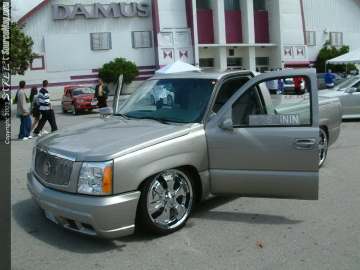 dub Show Images Page 2